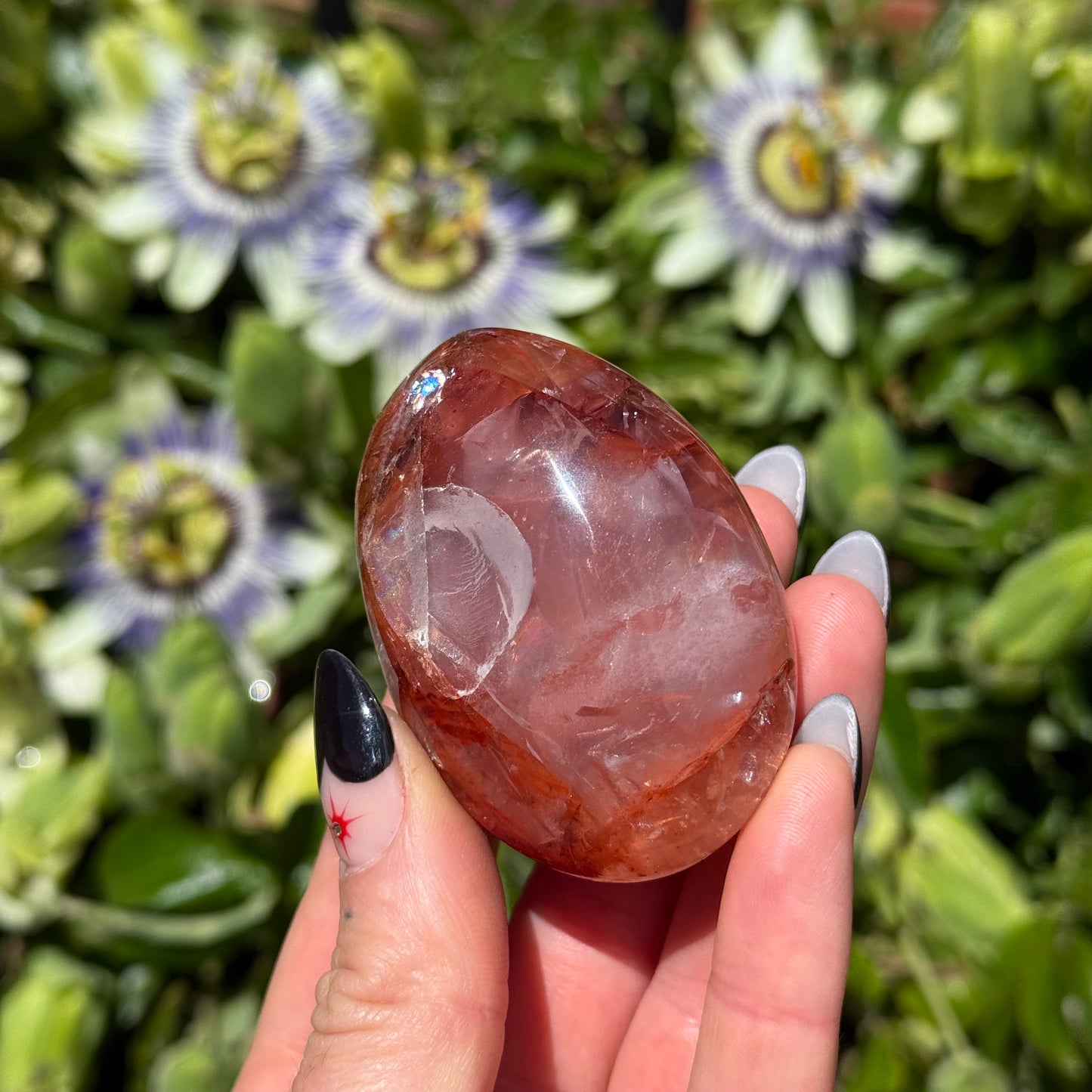Fire Quartz Palm