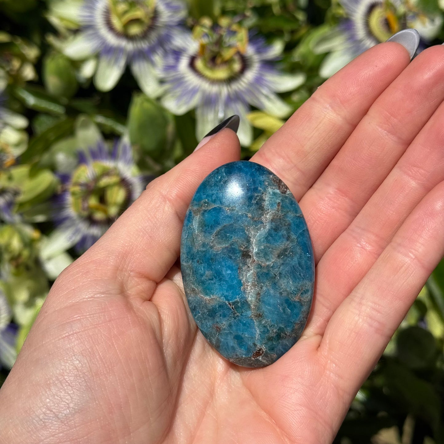 Apatite Palm Stone