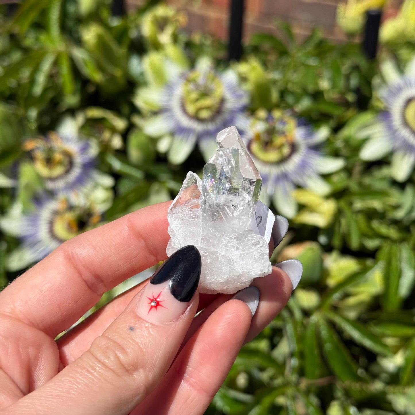 Clear Quartz Cluster