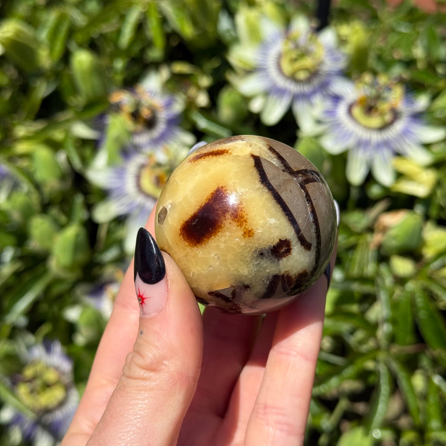 Septarian Calcite Sphere