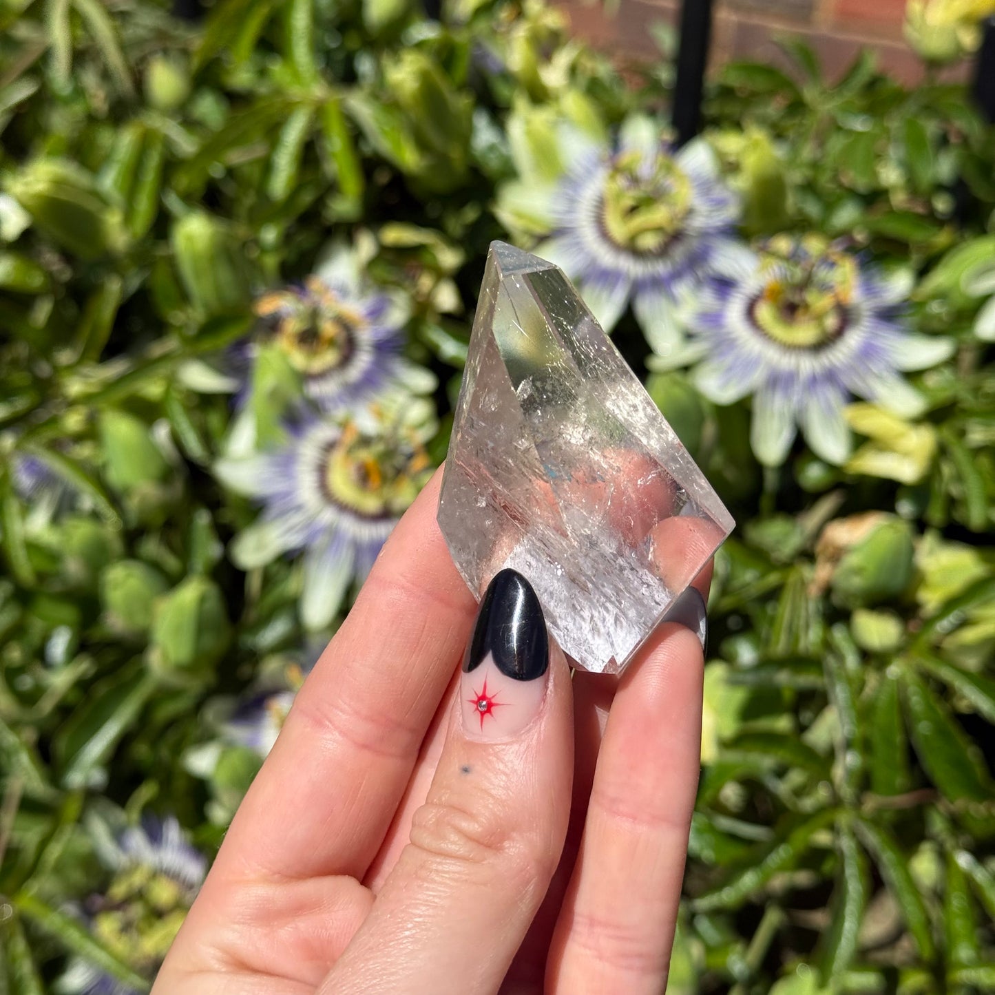Rutilated Quartz
