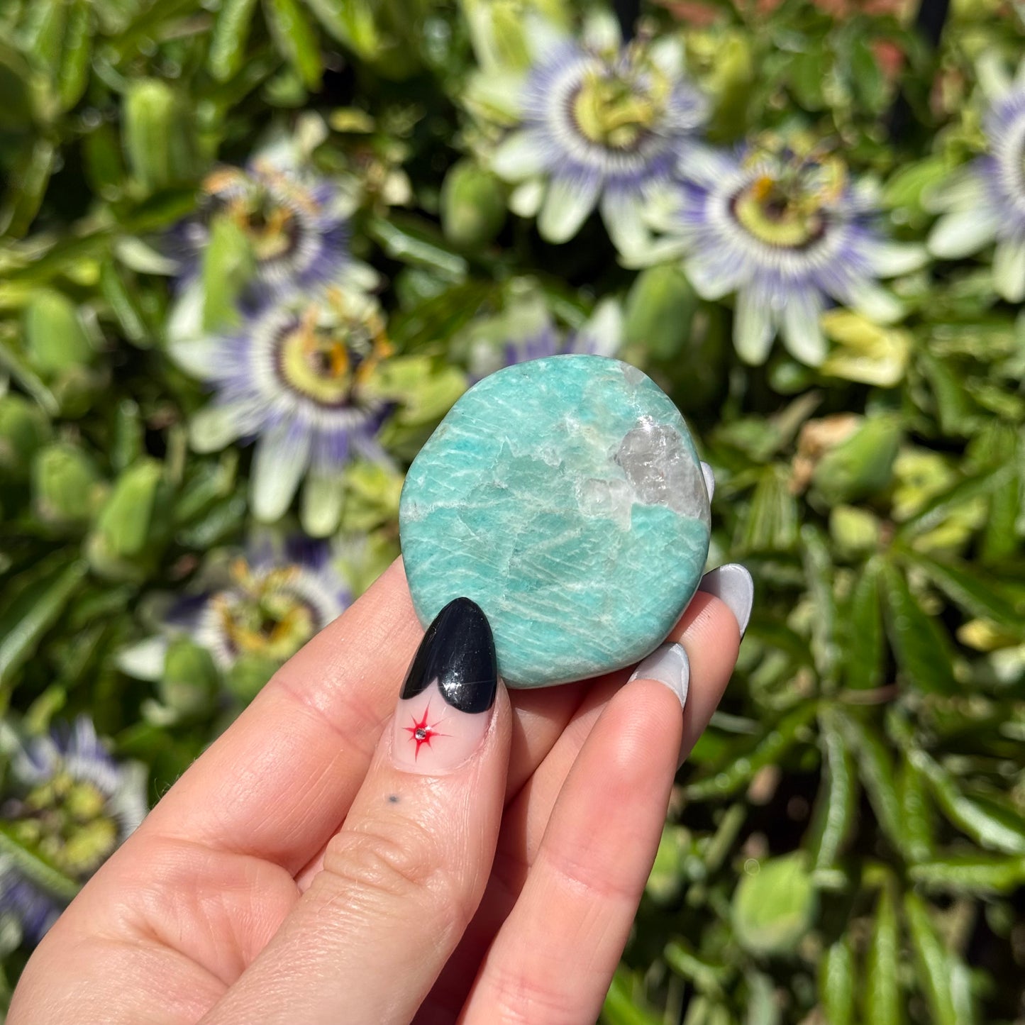 Amazonite Palm Stone