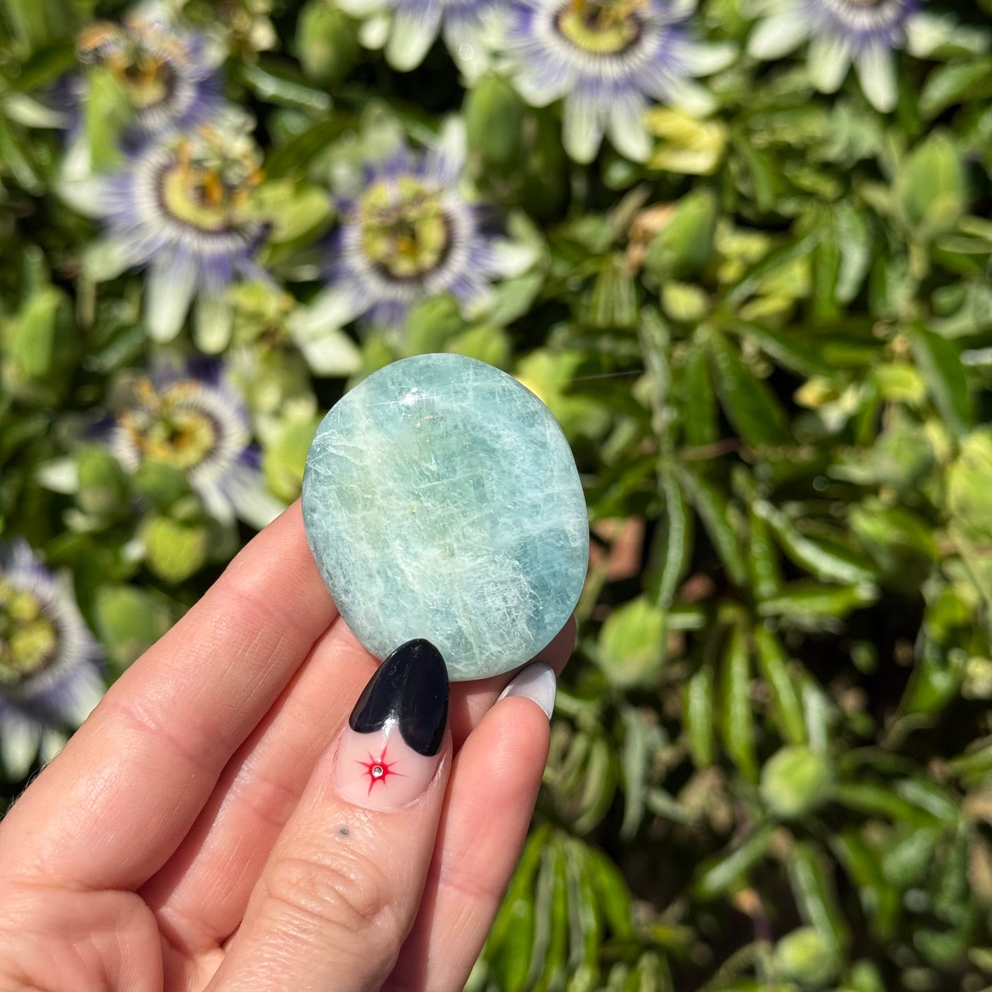 Aquamarine Palm Stone