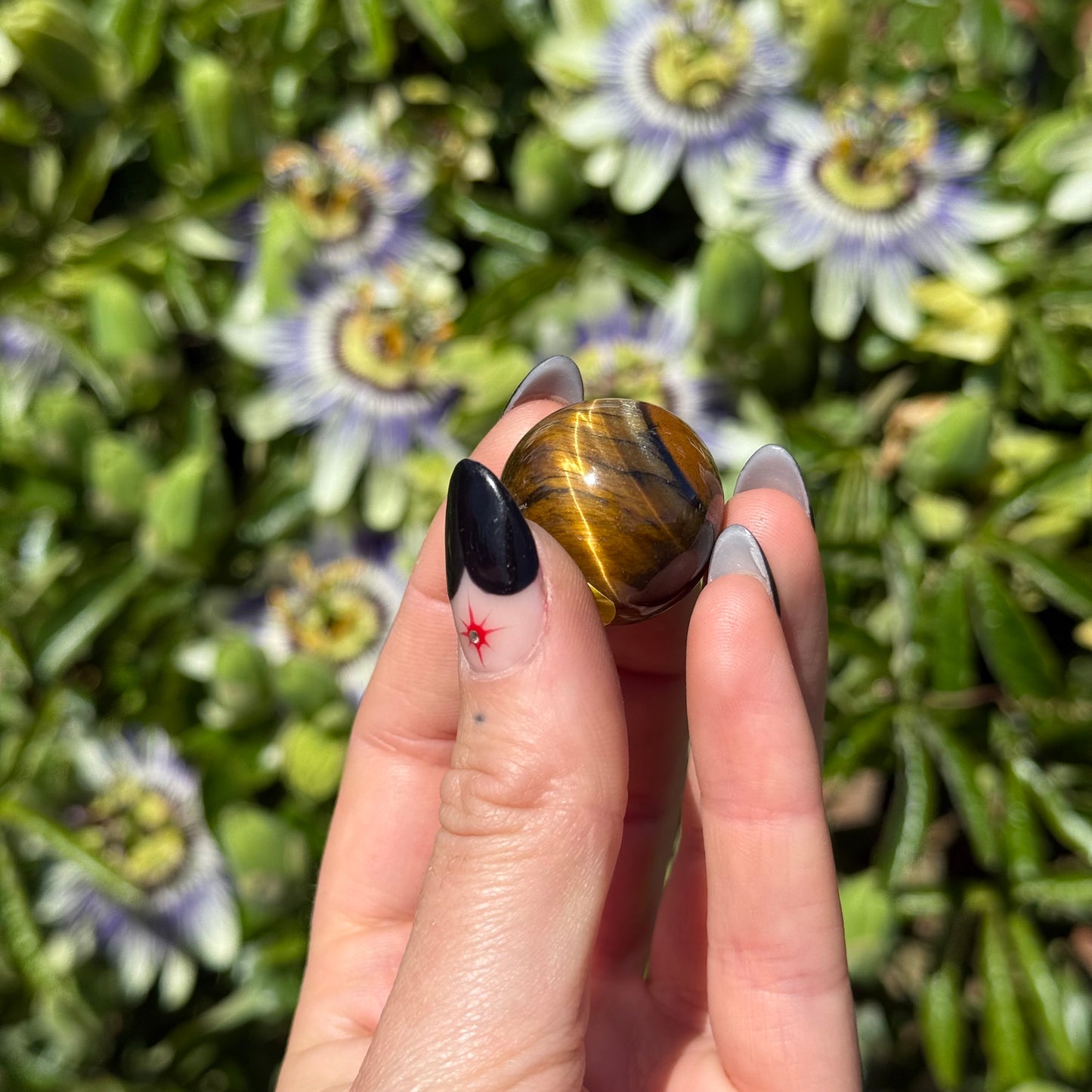 Tigers Eye Sphere