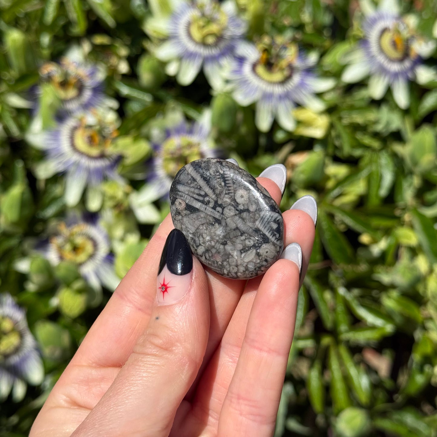 Fossil Jasper Palm Stone