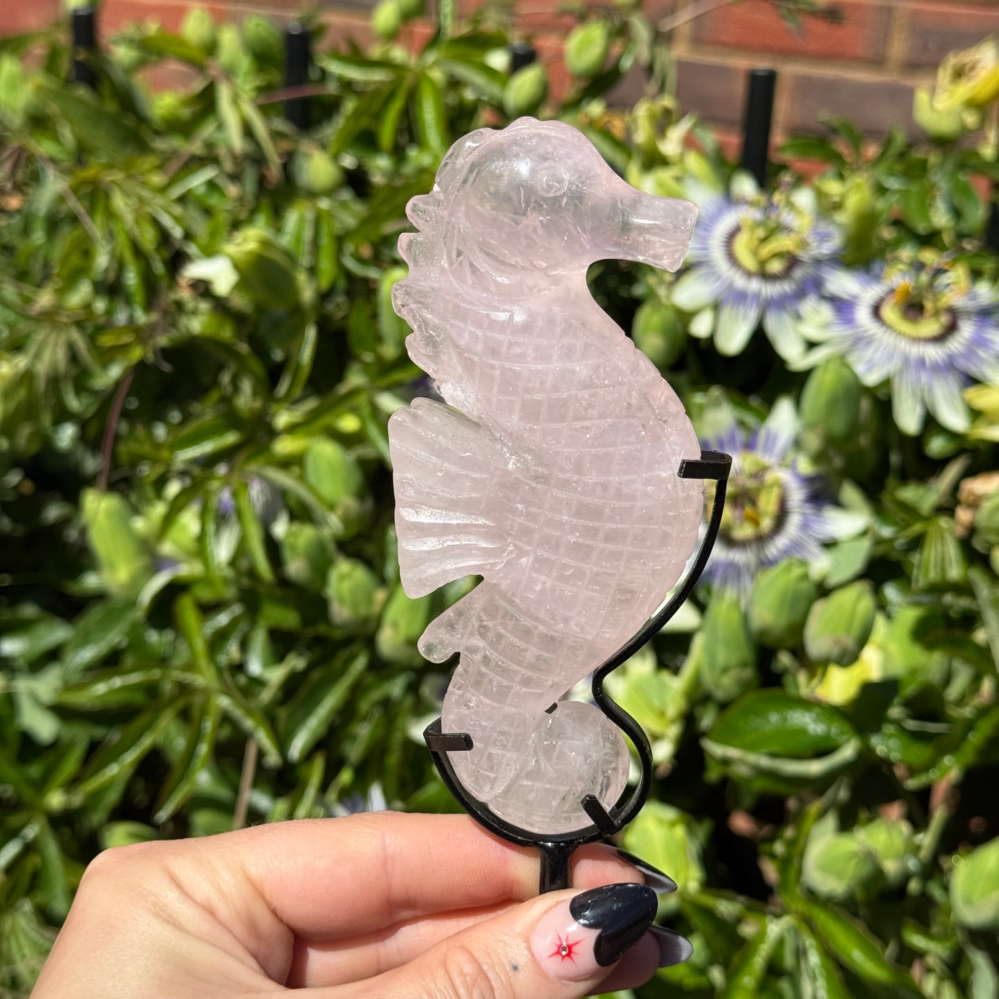 Rose Quartz Sea Horse On Stand