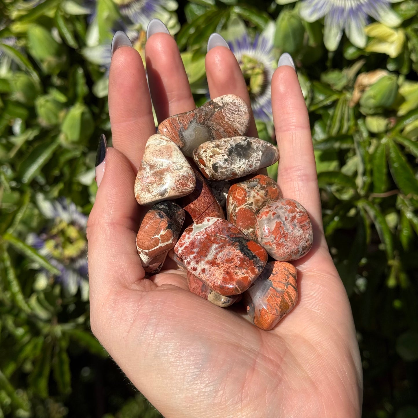 1pcs Tumbled Brecciated Jasper