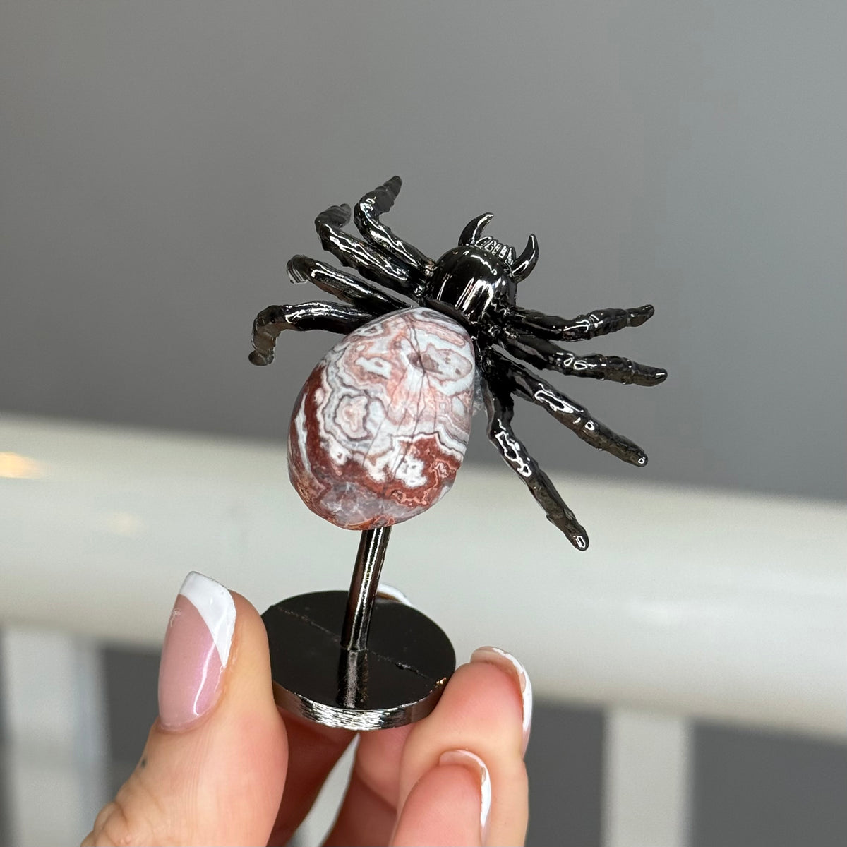 Crazy Lace Agate Spider