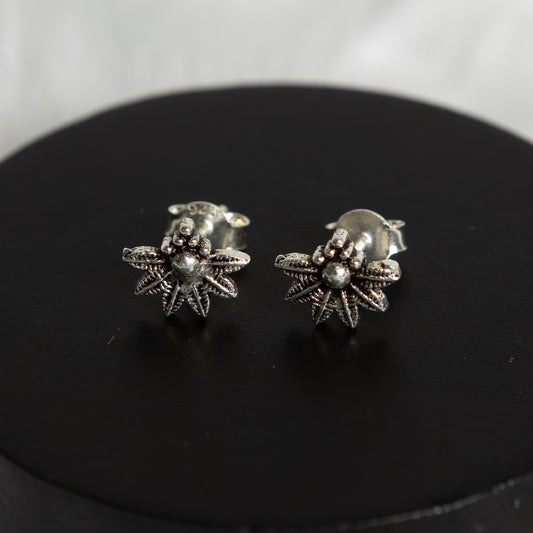 Sterling Silver Studs