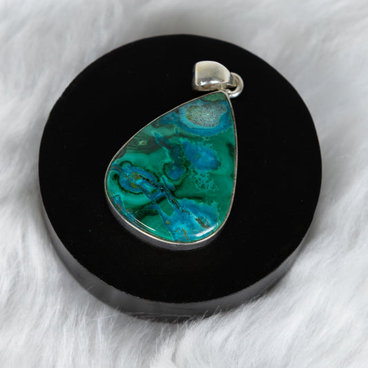 Sterling Malacholla Pendant