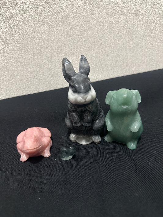 Claire_gardener_homeopathy