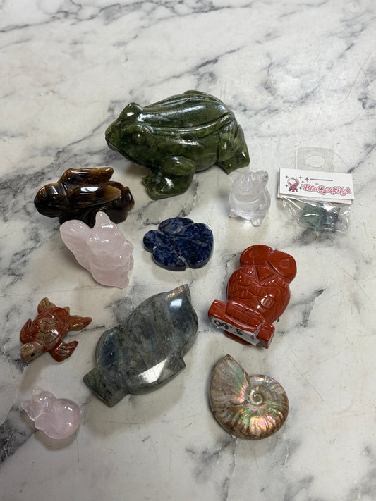 Claire_gardener_homeopathy