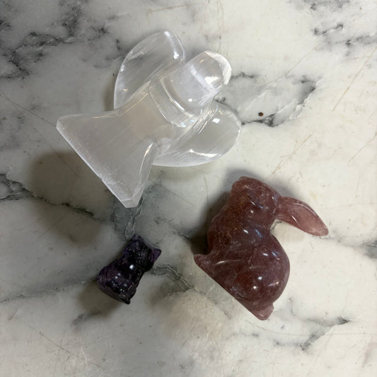 Claire_gardener_homeopathy