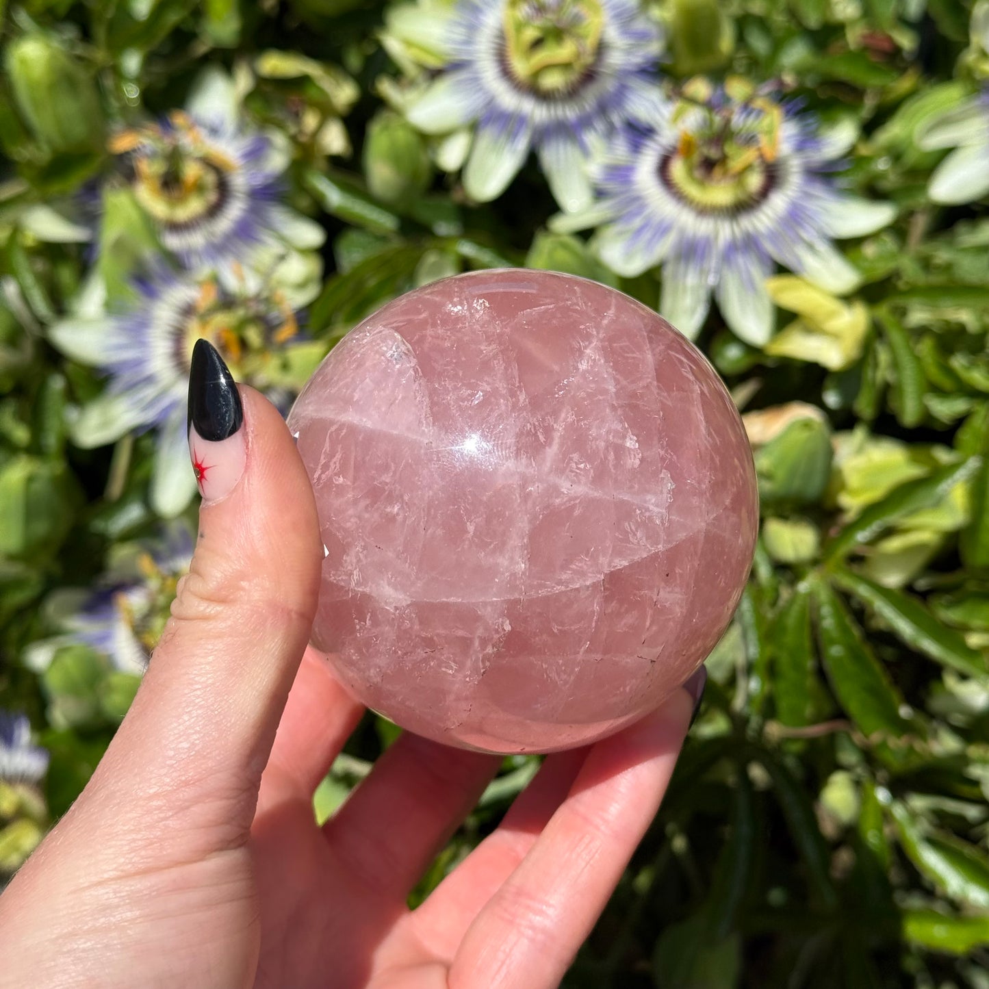 Star Rose Quartz Sphere