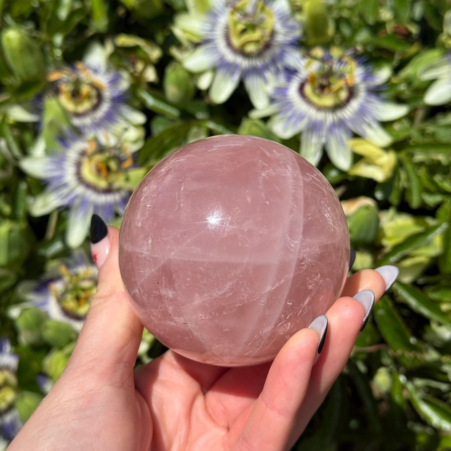Star Rose Quartz Sphere