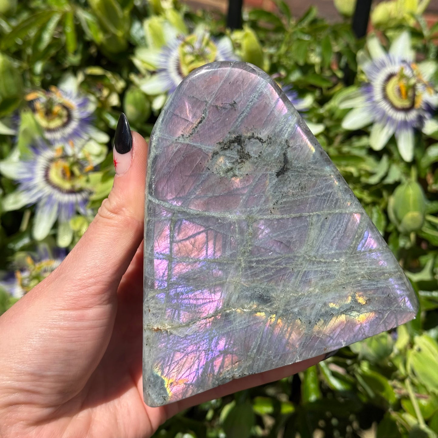 Purple Labradorite Freeform