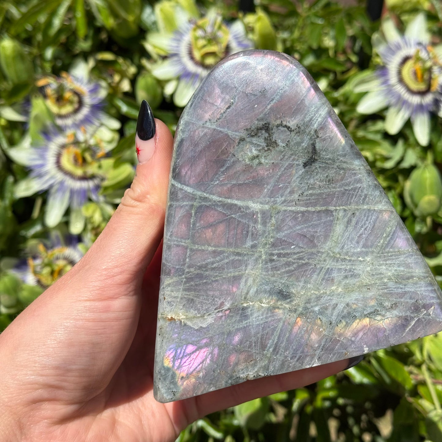Purple Labradorite Freeform