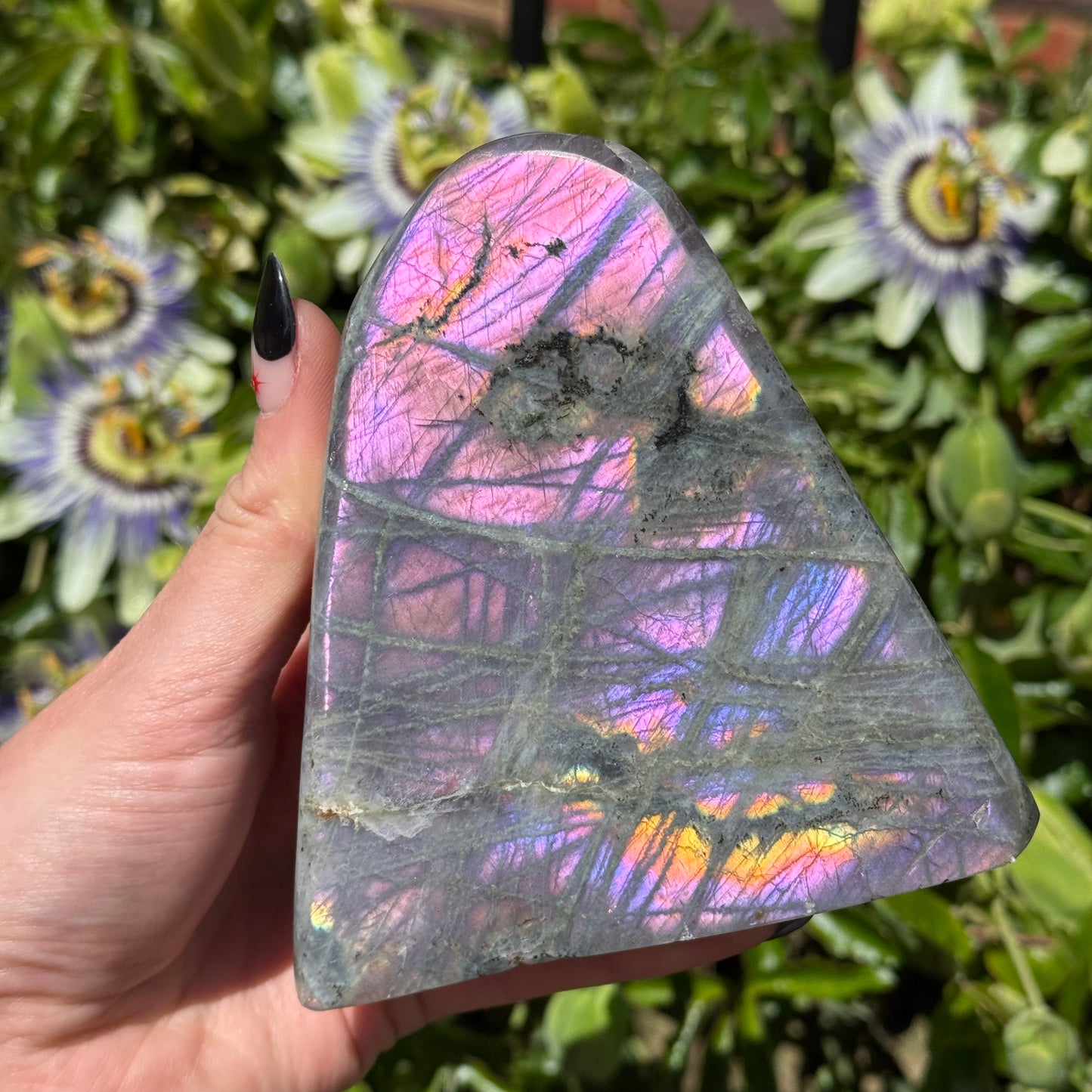 Purple Labradorite Freeform