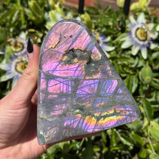 Purple Labradorite Freeform