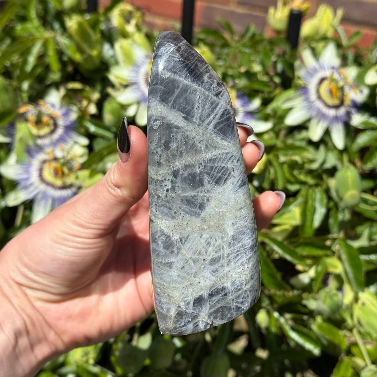 Purple Labradorite Freeform