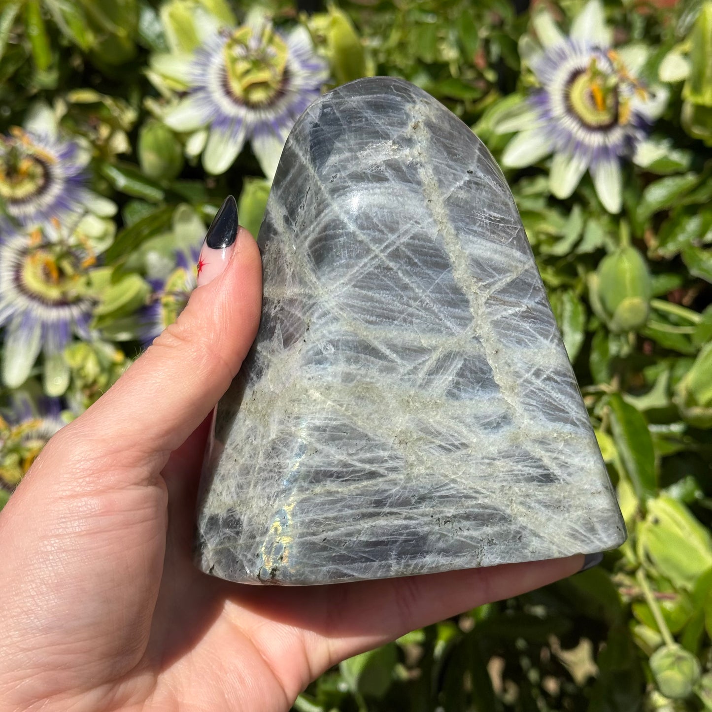 Purple Labradorite Freeform