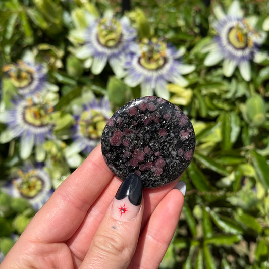 Garnet Astrophylite Palm Stone