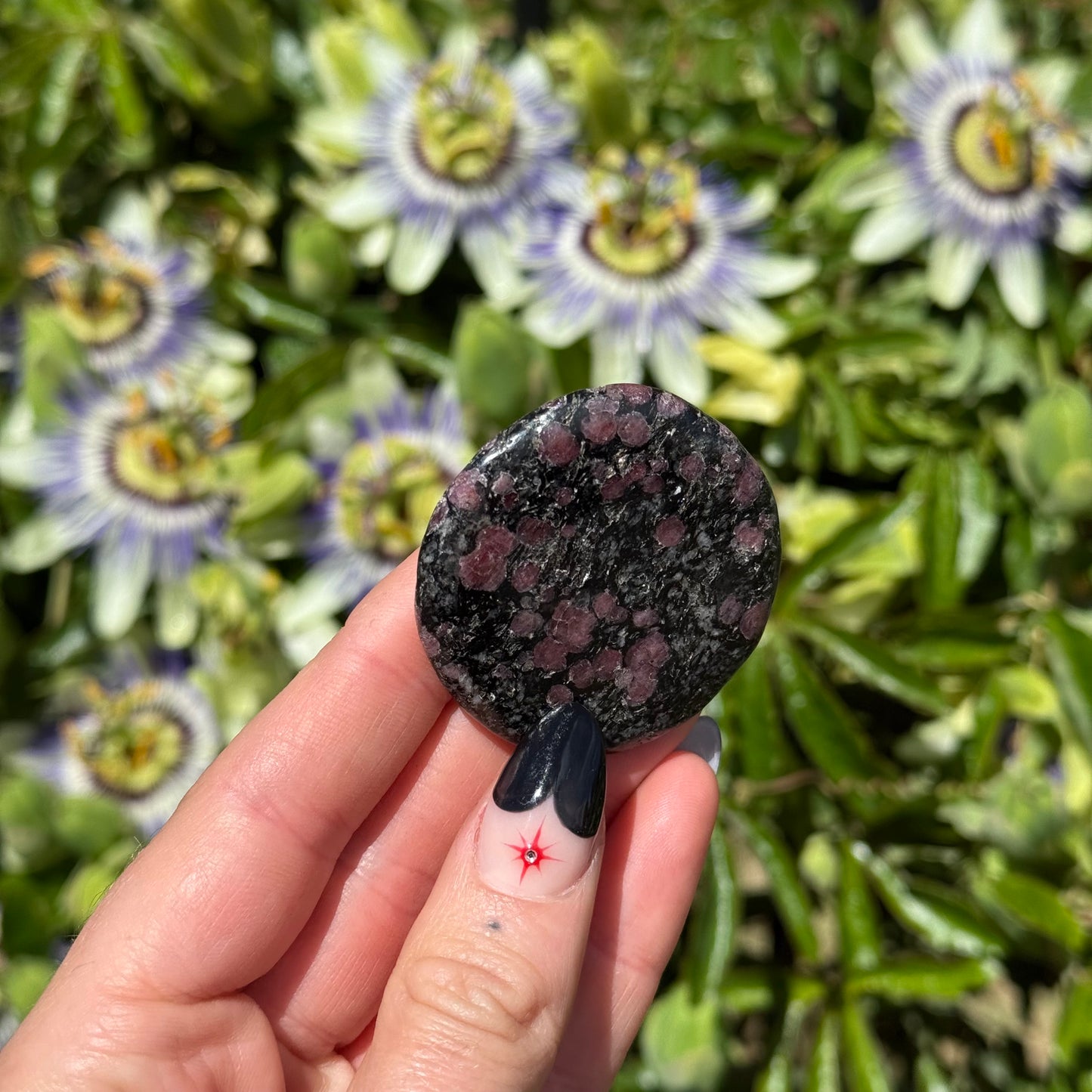Garnet Astrophylite Palm Stone
