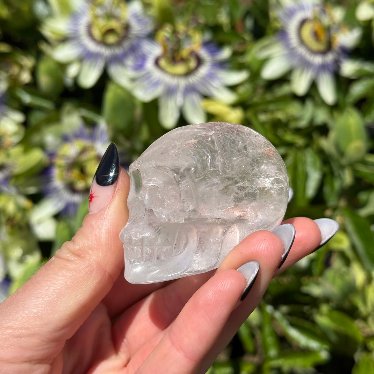 Clear Quartz Skull