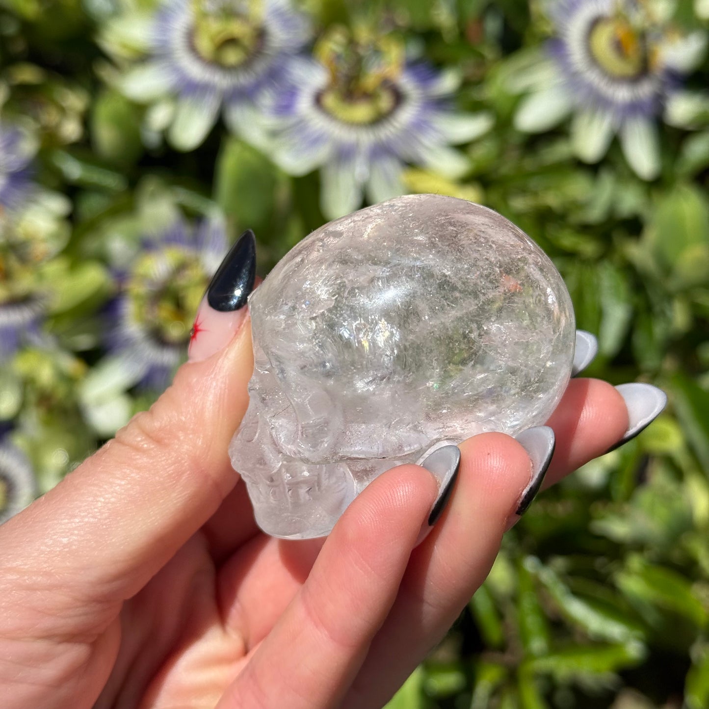 Clear Quartz Skull