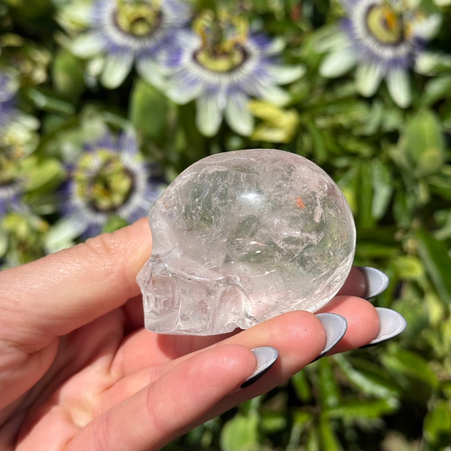 Clear Quartz Skull