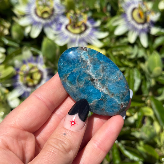 Apatite Palm Stone