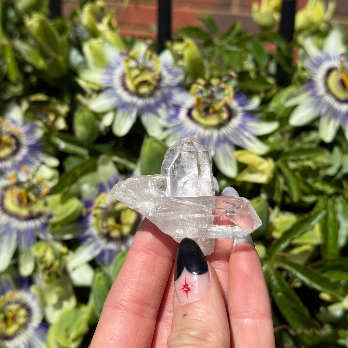 Clear Quartz Cluster