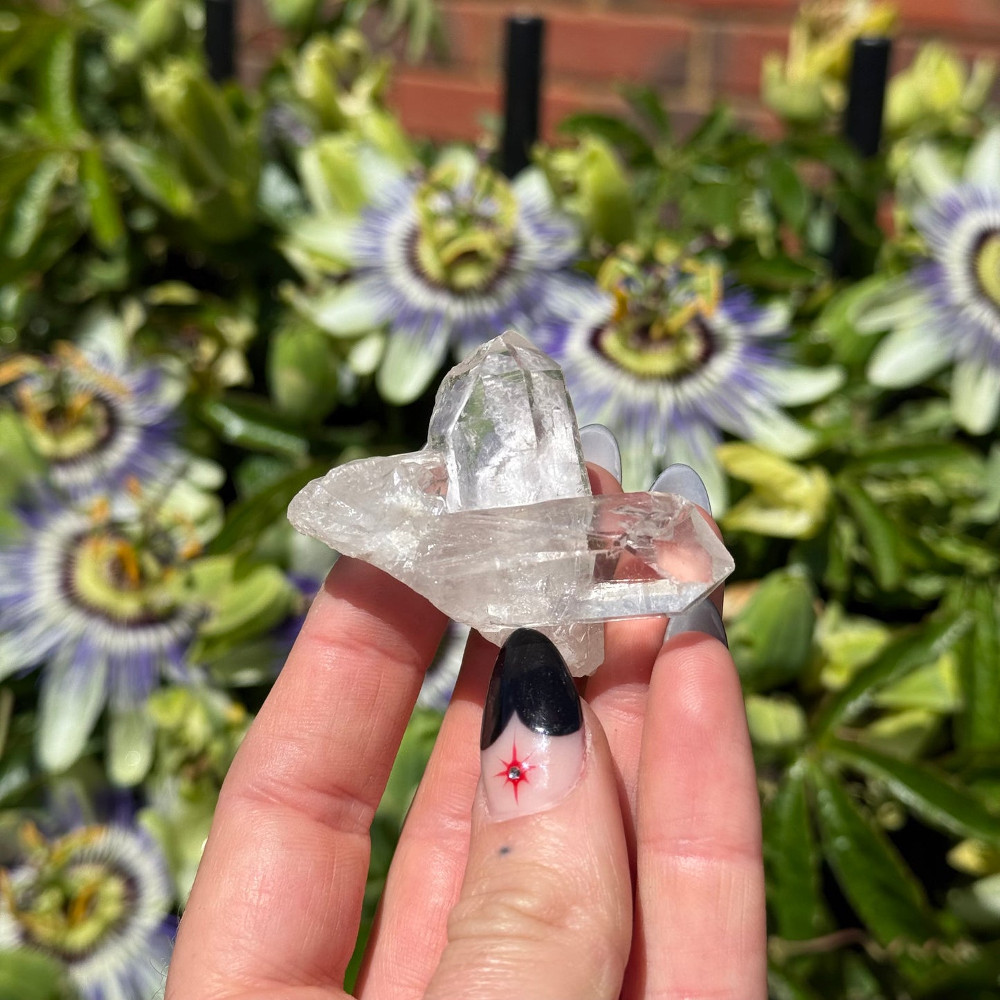 Clear Quartz Cluster