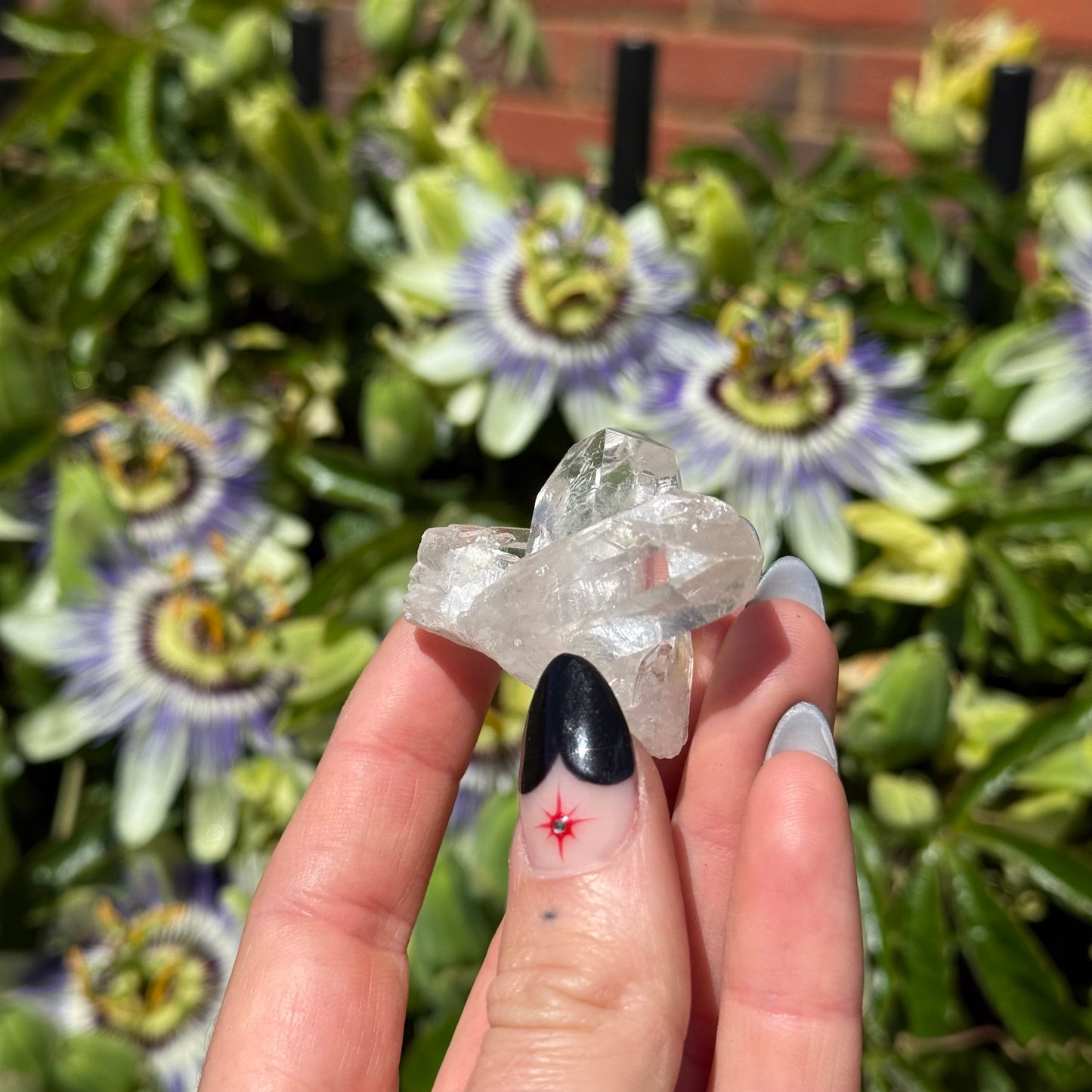 Clear Quartz Cluster