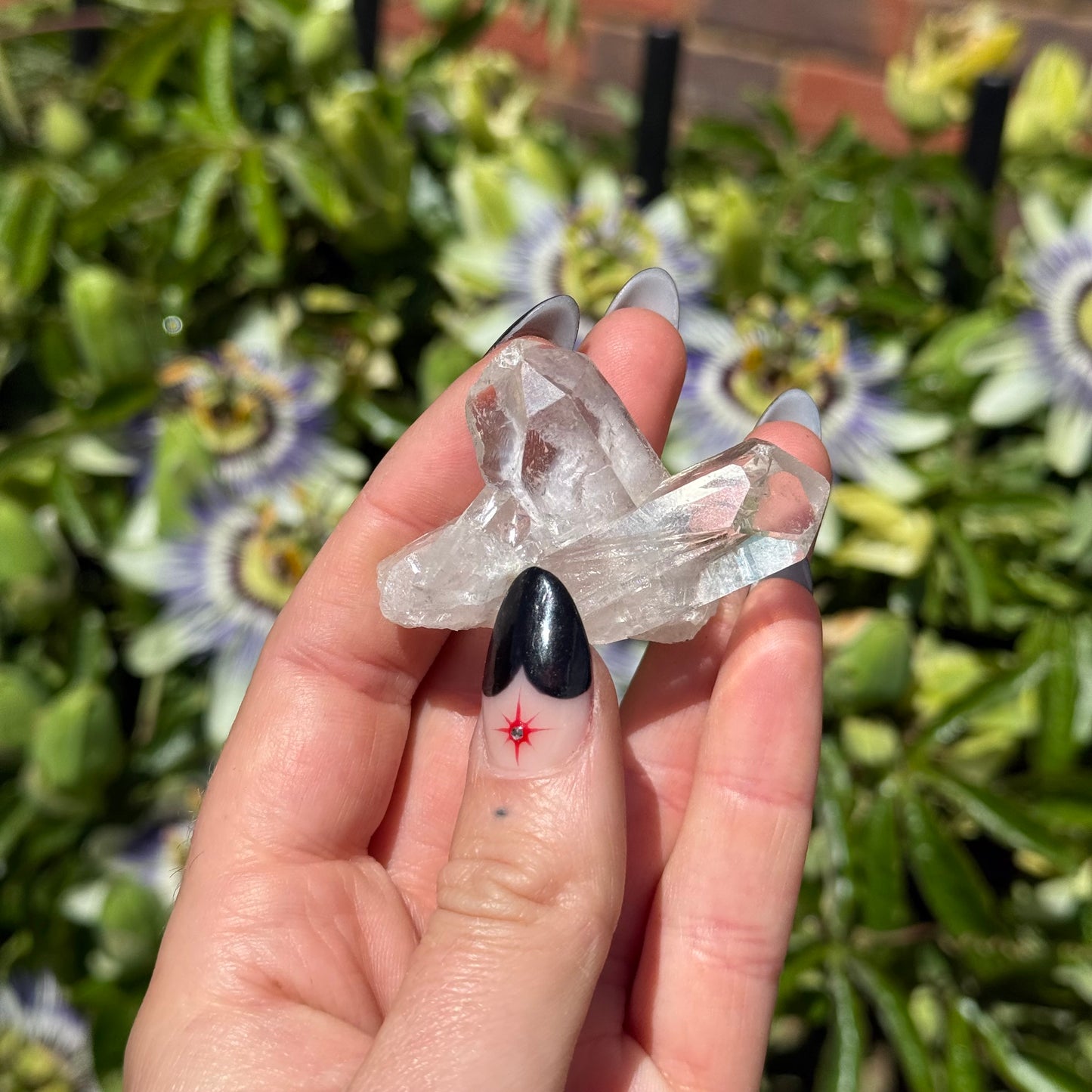 Clear Quartz Cluster