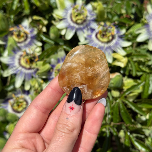 Honey Aragonite Palm Stone