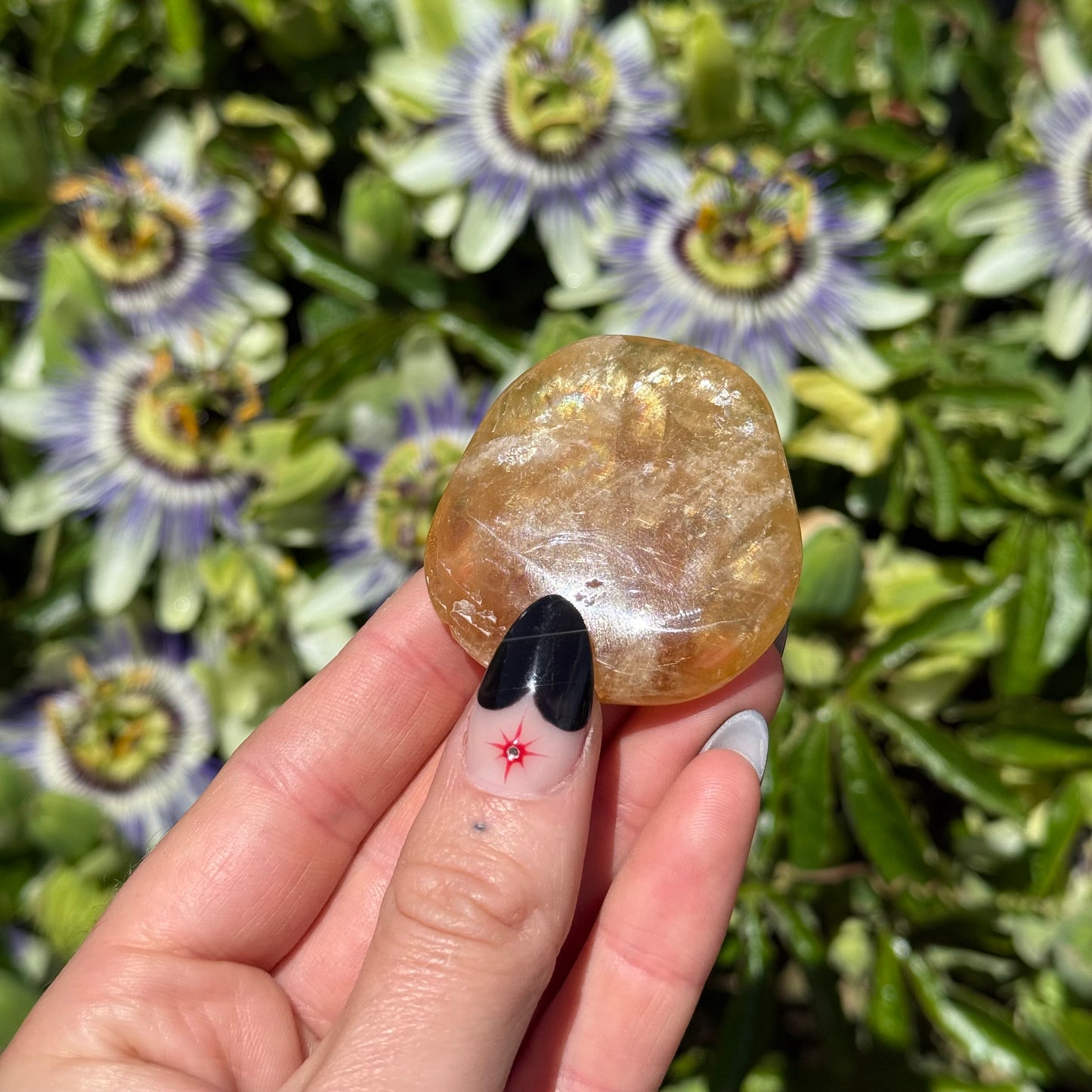 Honey Aragonite Palm Stone