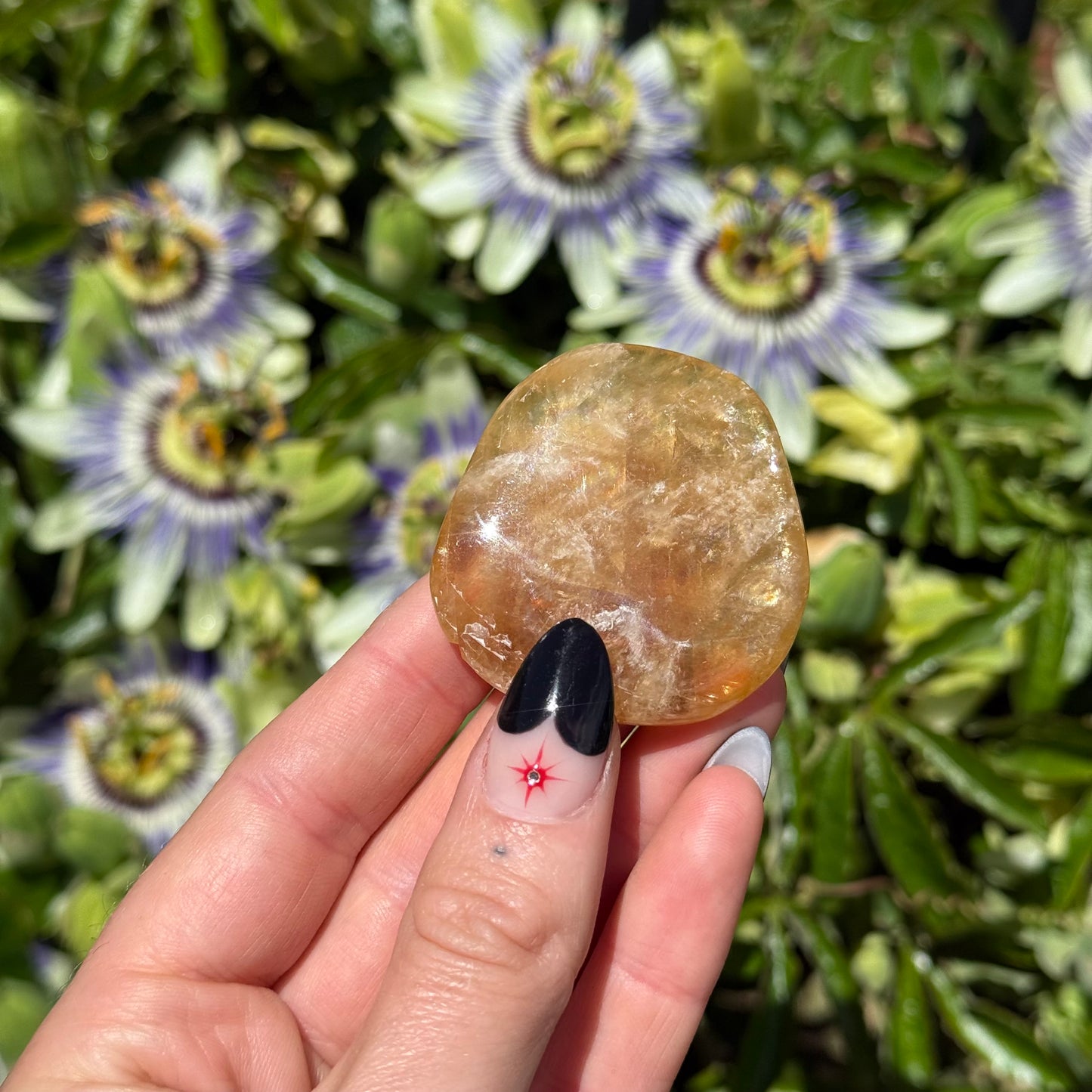Honey Aragonite Palm Stone