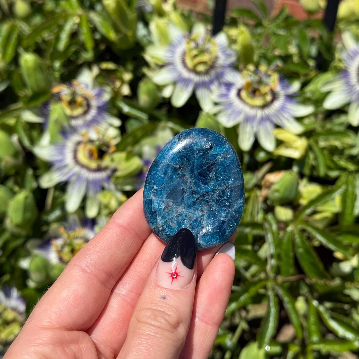 Apatite Worry Stone