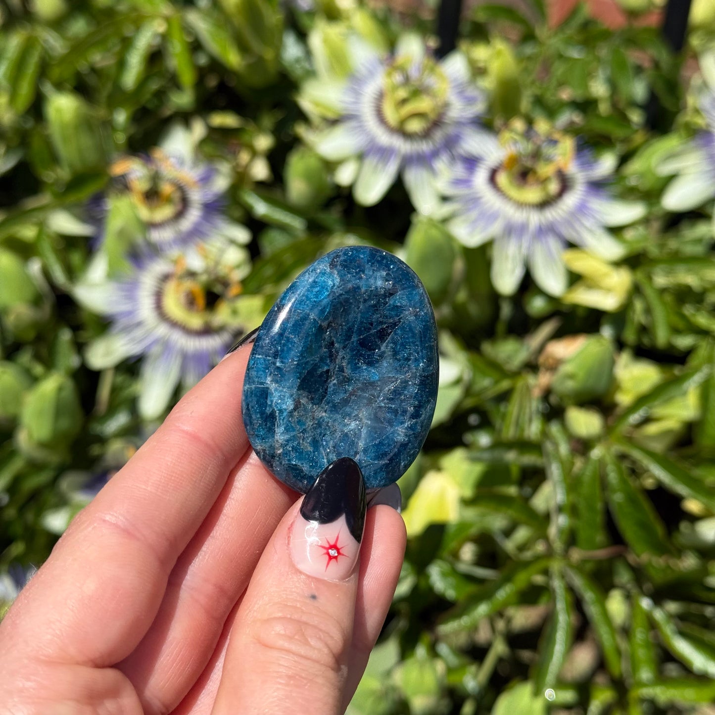 Apatite Worry Stone