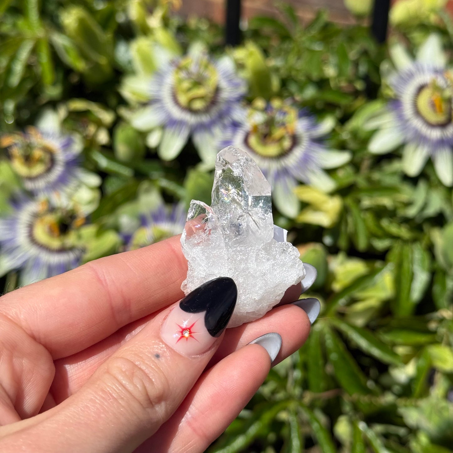 Clear Quartz Cluster