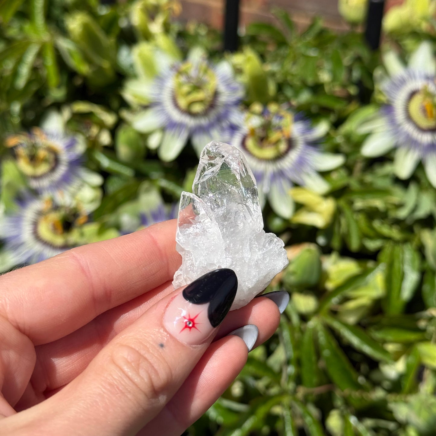 Clear Quartz Cluster