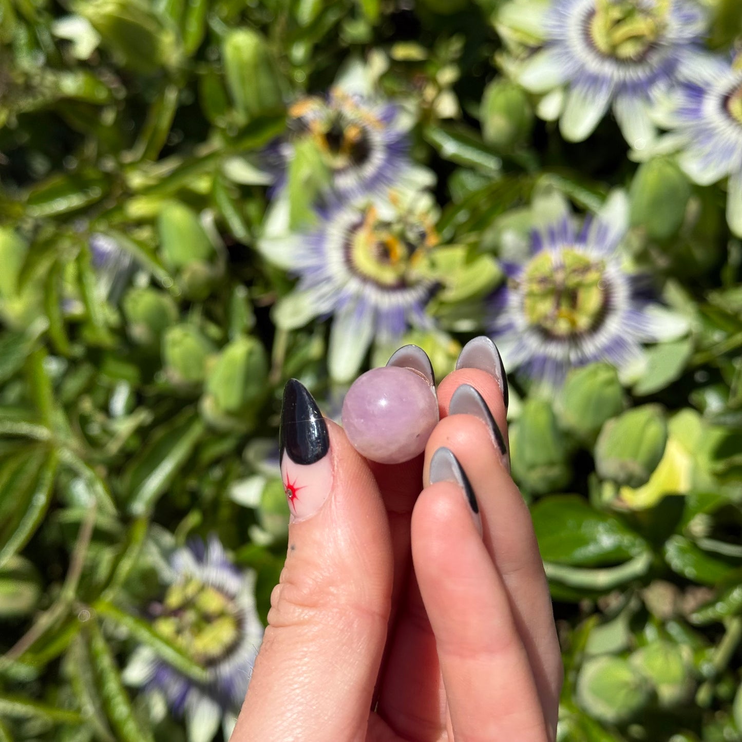 Kunzite Mini Sphere