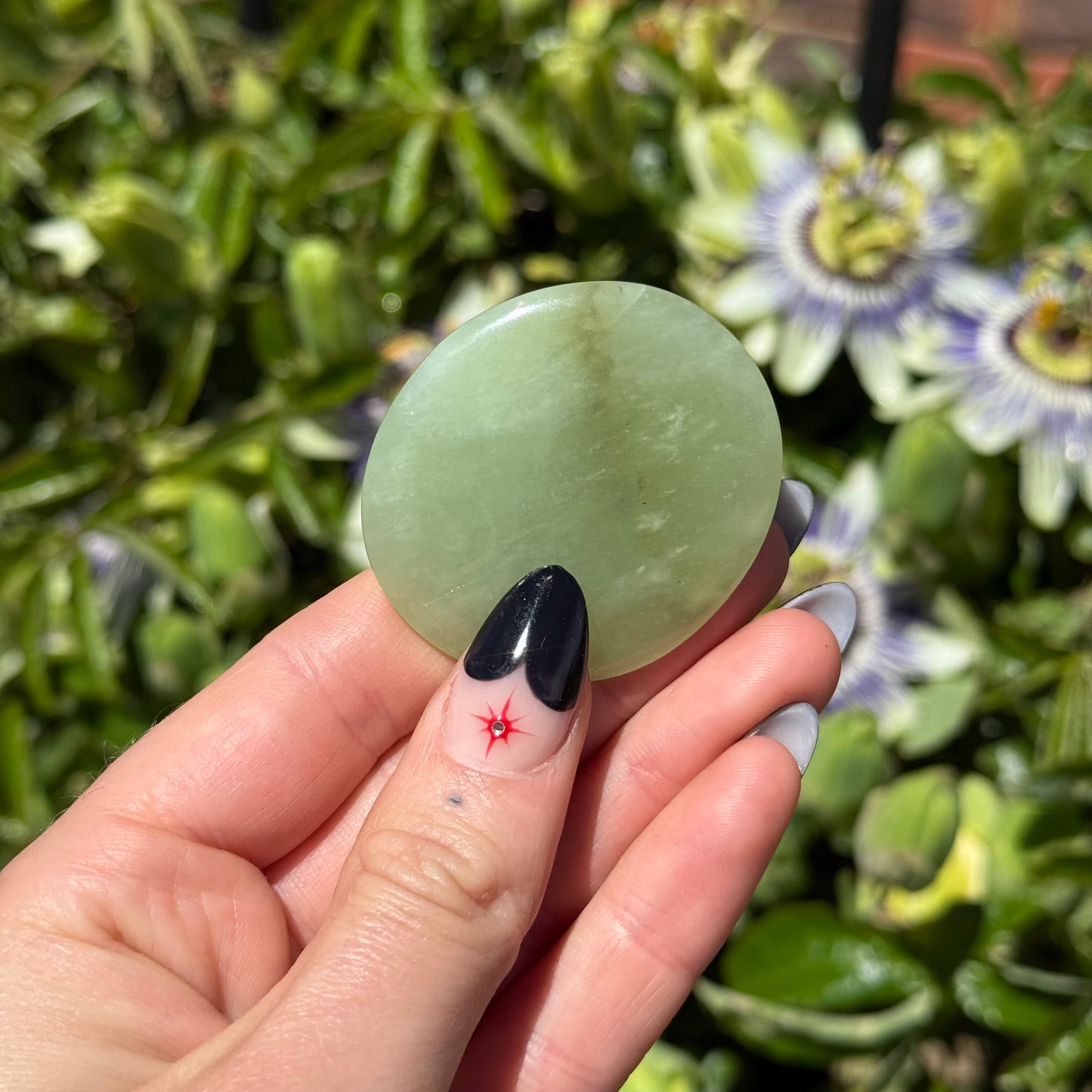 Jade Palm Stone