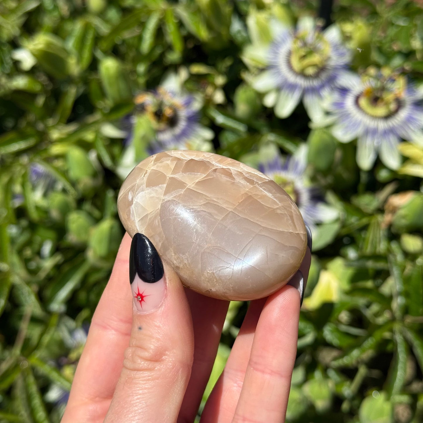 Peach Moonstone Palm Stone