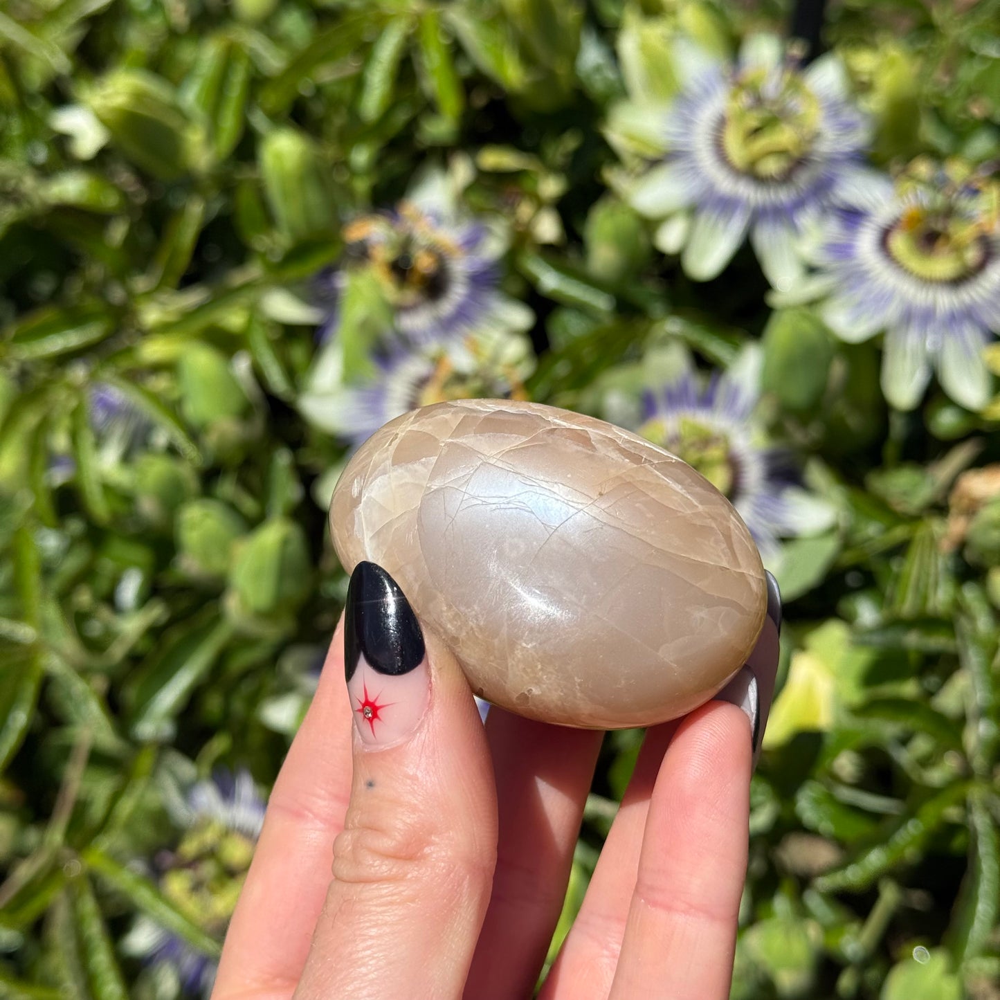 Peach Moonstone Palm Stone