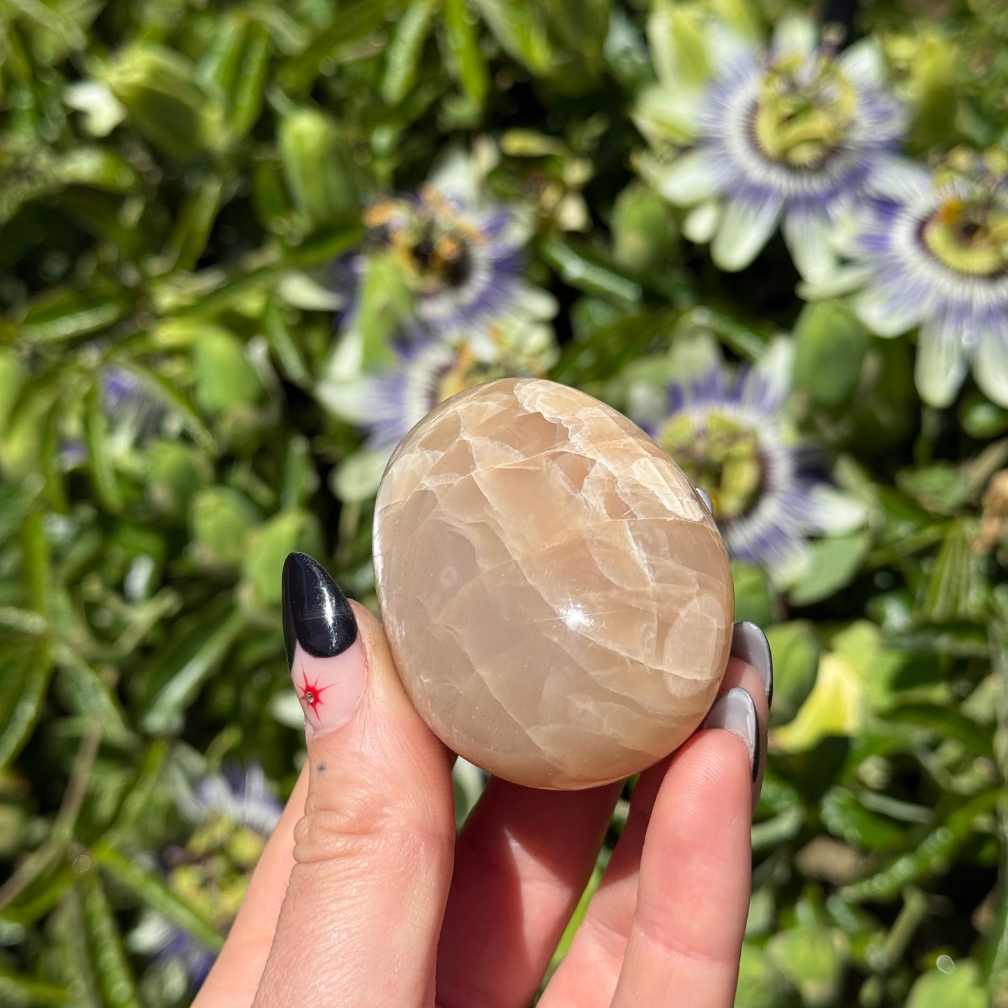 Peach Moonstone Palm Stone