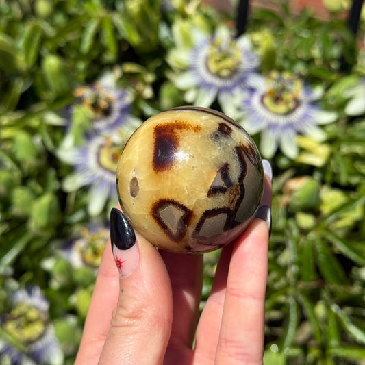 Septarian Calcite Sphere