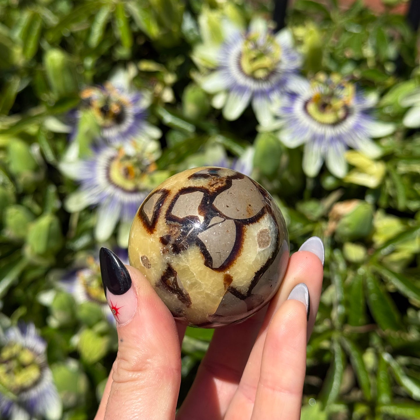 Septarian Calcite Sphere