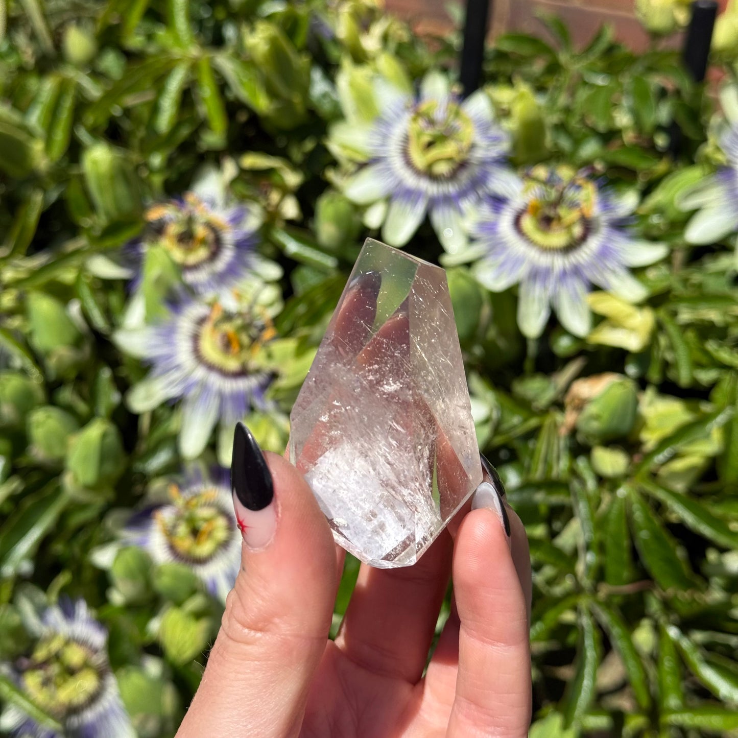 Rutilated Quartz